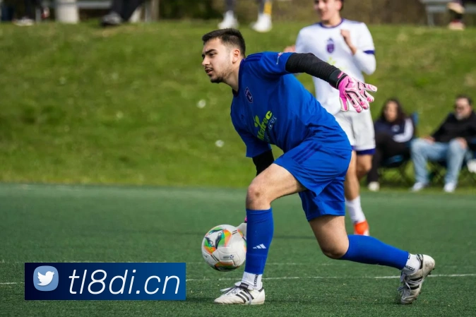 hth登录服务体系